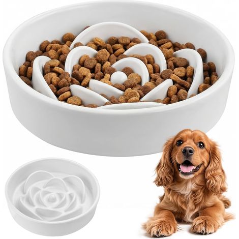 Fressnapf für Hunde, 800 ml interaktiver Keramiknapf, 20 cm Anti-Schlingen-Napf für mittelgroße und große Haustiere (1/5)