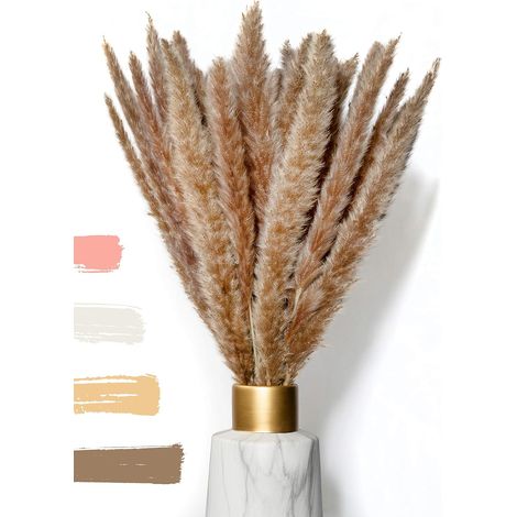 15 Herbes de la pampa, Fleurs séchées naturelles, Décoration salon, Bureau, Mariage (1/5)