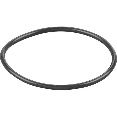 Rems O-Ring 060107