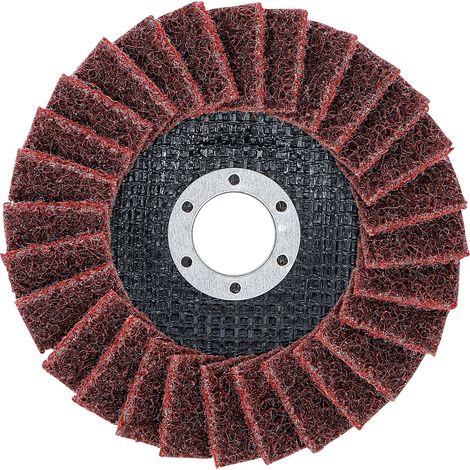 BGS  Disco  de  láminas  no  tejidas  Ø  125  mm  grano  120  -  74474 (1/4)