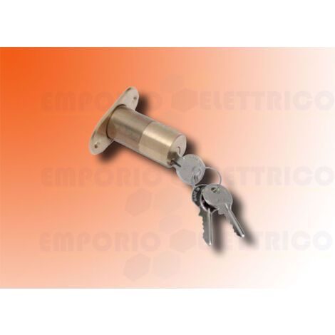 Cilindro Esterno Per Elettroserratura N 01 FAAC 712652001 (1/3)
