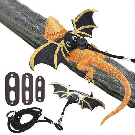Harnais de dressage pour reptiles avec laisse à ailettes réglable pour gecko et furet (1/4)