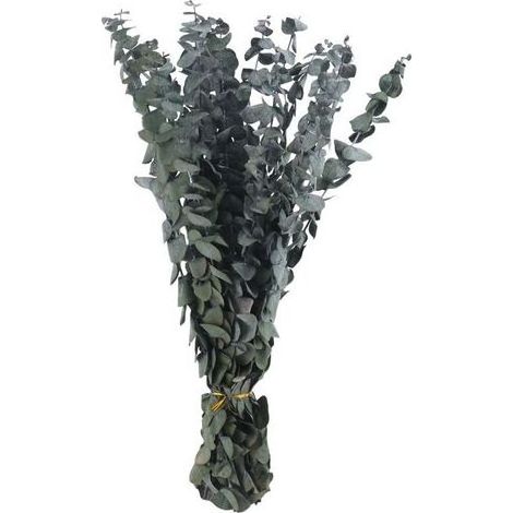 16 branches d'eucalyptus séchées et conservées, un bonsaï d'eucalyptus frais de 17 pouces (convient pour la douche), un bouquet d'eucalyptus véritable. (1/5)