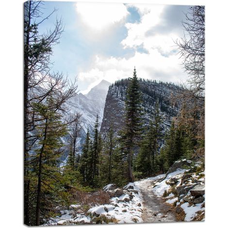 Leinwanddruck Natur Bergpfad Schnee 40x50