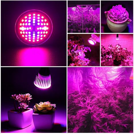 Ampoule LED 60 W à spectre complet pour la culture hydroponique de plantes et de fleurs (85-265 V).