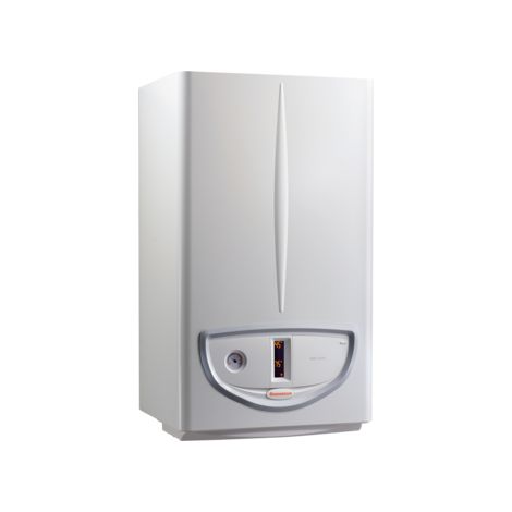 Immergas Offenkammerkessel NIKE ECO 24 Methan low NOx 3.028476 - NEU