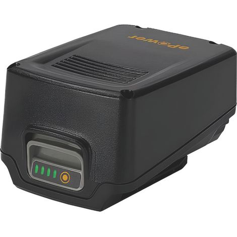 Alpina BATTERIA E24 20 V - 4,0 Ah