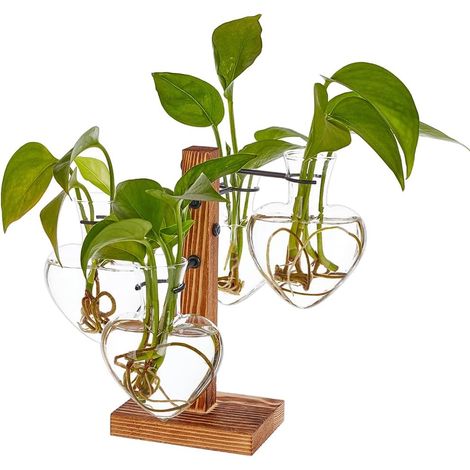 Terrarium pour plantes avec support en bois - 4 vases en verre en forme de cœur - Station de propagation pour plantes d'intérieur - Jardinière hydroponique - Décoration de bureau - Cadeau pour (1/5)