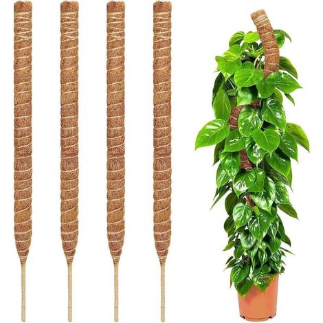 Tuteurs en mousse pour plantes Monstera – Lot de 2 tuteurs flexibles de 71 cm pour plantes Monstera, piquets pour plantes d'intérieur, supports pour plantes grimpantes. (1/5)
