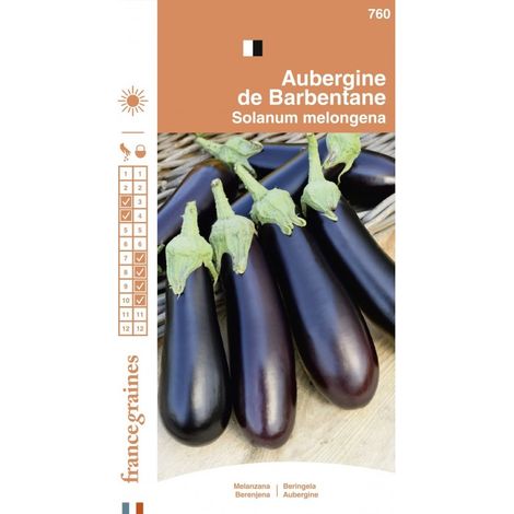 France Graines - Aubergine de Barbentane