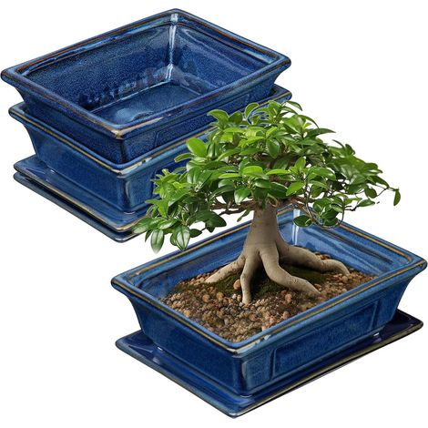 2 Pack Ceramic Bonsai Pots with Saucer and Drainage Holes for Japanese Bonsai Indoor Plants, Retro Decoration for Outdoor Garden Pots Kits, Opening Diameter 19 (1/5)