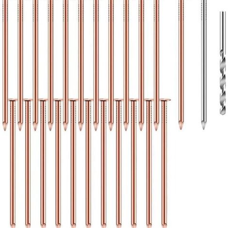 Jeu de 23 clous en cuivre de 89 mm de long pour le dessouchage, avec gros clous en acier et clous perforés. (1/5)