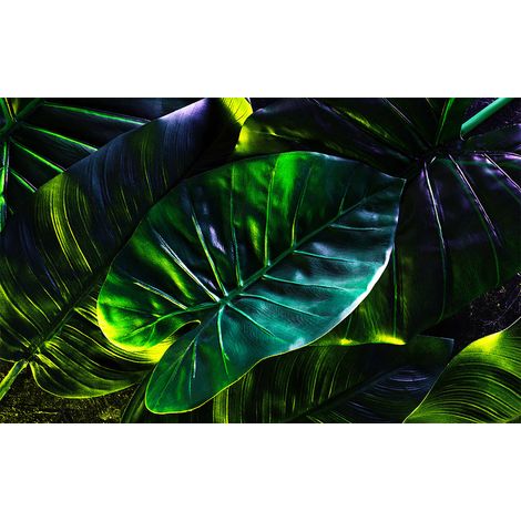 Affiche feuilles tropicales, 60x40cm - made in France (1/5)