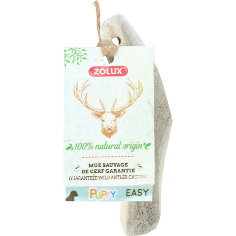 Bois de Cerf biseauté XXS Friandise à mâcher pour chiot - zolux (1/2)