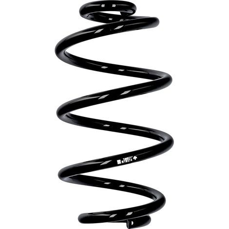 Ressort de suspension arrière Eibach ERL Nissan R10374 (1/2)