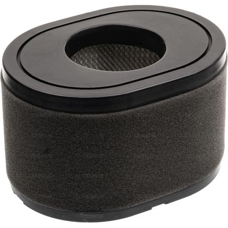 FILTRE À AIR LONCIN LC2P77F LC2P80F LC2P82F 180100109-0001 AL-KO PRO 700