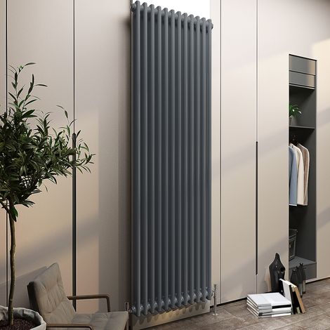 Biubiubath Traditional Cast Iron Radiator 1800x560mm 2 Column Anthracite (1/5)