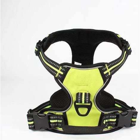 Laisse pour chien vert, taille S – (1/2)