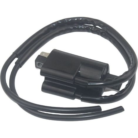 Bobine d'allumage haute tension bicylindre pour moto ROAD STAR XV1600 avec câble (1/2)