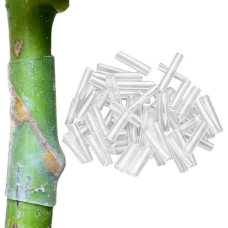 Manchons de Greffage Auto-retirant et Résistant à la Déchirure Clips à Greffer pour Légumes Pour légumes, fleurs (1/5)