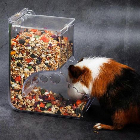 Distributeur automatique de nourriture pour hamsters, mangeoire à foin pour lapins, gamelle fixe. (1/4)