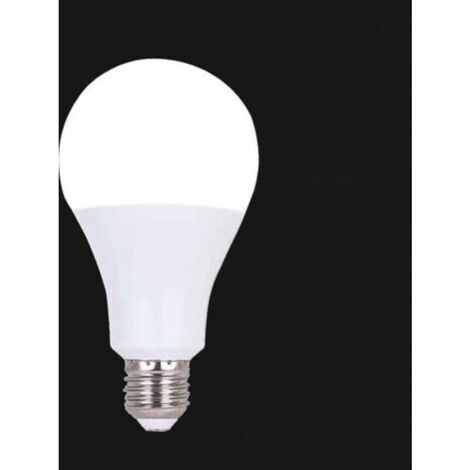 Ampoule LED E27 à vis 220V-240V 20W (lumière blanche 6500K) non dimmable 1 pack (1/4)