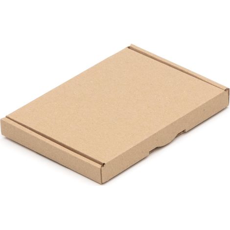 500 Großbrief 157 x 115 x 15 Großbriefkartons Postkarton BRAUN (1/4)