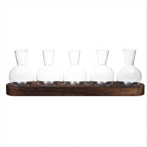 Terrarium pour plantes en verre, vase moderne avec plateau en bois, station de propagation hydroponique, décoration de bureau d'intérieur (1/5)