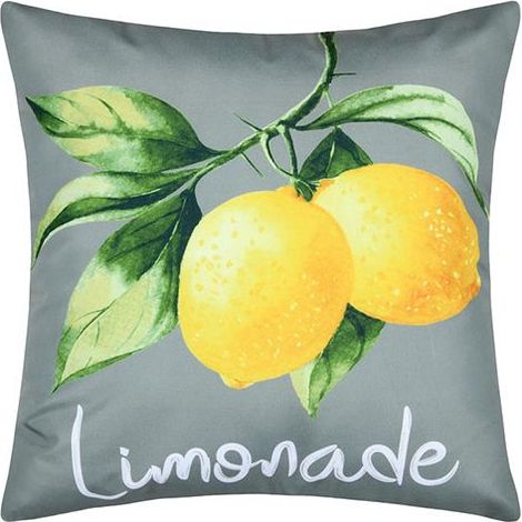 Coussin Outdoor Limonade Vert Résistant Extérieur, Housse Déhoussable -