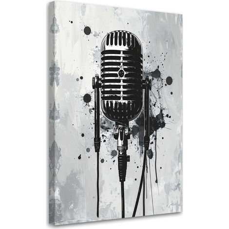 Tableau Moderne, Microphone noir et blanc,20x30 (1/4)