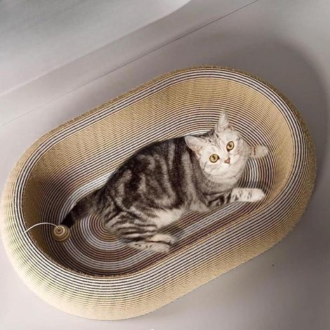 Katzenkratzbaum mit interaktivem Spielzeug (1/5)