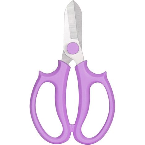 Ciseaux De Taille - Acier Inoxydable 30Cr13 - Pour Jardinage Et Fleurs - 16,5 cm - 1 Pièce (1/3)