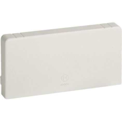 Terminale Per Canali Linee Ta-N / Ta-En Bianco 120X60 ( Bocchiotti Cod. B02254 )