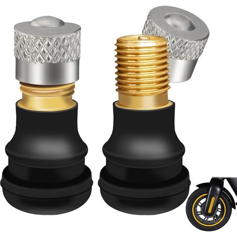 Valve d'air de Pneu sous Vide pour Trottinette, Valve de Pneu Tubeless pour G30, Pro 2, Etc - Valve Tubeless Schrader Droite de 24 mm - Kit de 2 unités (1/5)