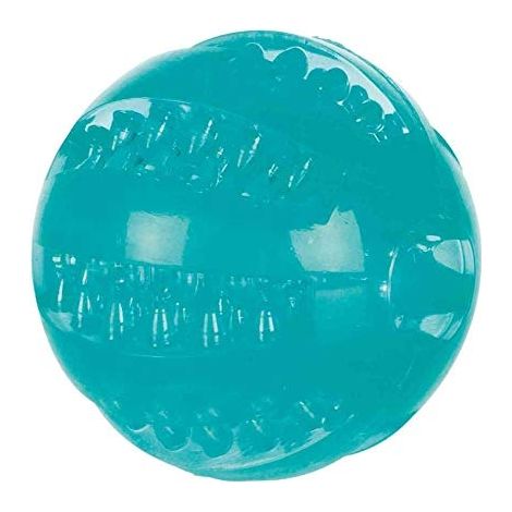 Jouet pour chien Denta Fun balle Désignation : Balle Denta Fun 33680