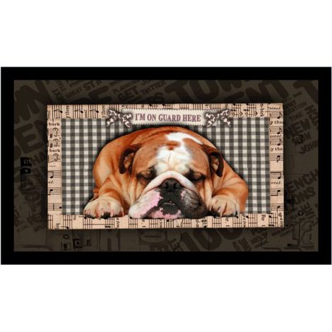 VELVET A0365-1 GUARD HERE 45X75 MERCURY MB017674