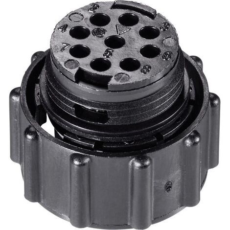 TE Connectivity 205839-3 Cosse cylindrique mâle mâle, droit Nombre total de pôles: 28 Série (connecteur rond): CPC 1 pc(s) Y993561 (1/5)