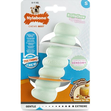 Giocattolo da mordere per cani Nylabone SENSORY TACTILE STICK Verde Burro Di Arachidi Bacon S (1/5)