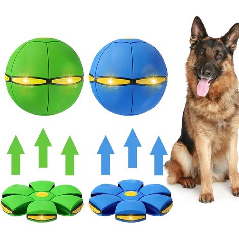 Lot de 2 frisbees pour animaux de compagnie avec 3 lumières pour les activités de plein air (1/5)