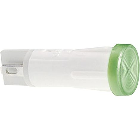 RAFI 1.69.525.221/1000 Voyant standard avec ampoule clair 1 pc(s) D58784 (1/5)