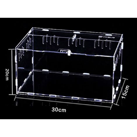 1 Terrarium Acrylique, Transparent, Aéré, Pour Reptiles Et Insectes