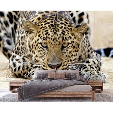 Vlies Fototapete Jaguar 150x105 cm, Tapeten, für Wohn und Schlafzimmer, Vliestapete Wandtapete Tapete 3D Effekt- inkl. Kleister - Tiere Natur Tier, WallArena (1/4)