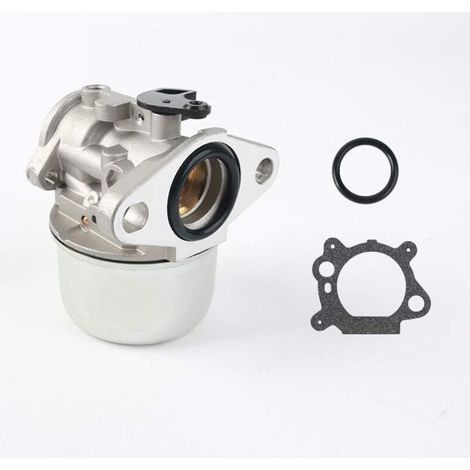 Vergaser-Reparatursatz, kompatibel mit Briggs & Stratton 497586, 498170, 799868, 498254, 497314, 497347, 698444 (1/4)
