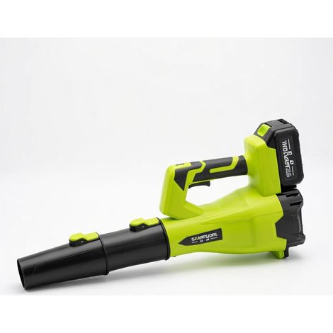 Souffleur à batterie 800W 10 cellules neige poussière puissant (1/5)