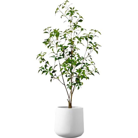 artificielles en Pot - Feuilles de gypsophiles artificielles en Pot - Verdure Artificielle pour Les Personnes âgées et Les Professionnels occupés - pour extérieur, Porche, Restaurant (1/5)