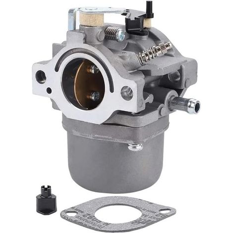 Carburateur avec filtre et joint. Convient aux moteurs 12,5 CV LMT 165, LMT 166 et LMT 162. Remplace la référence 799728. (1/5)