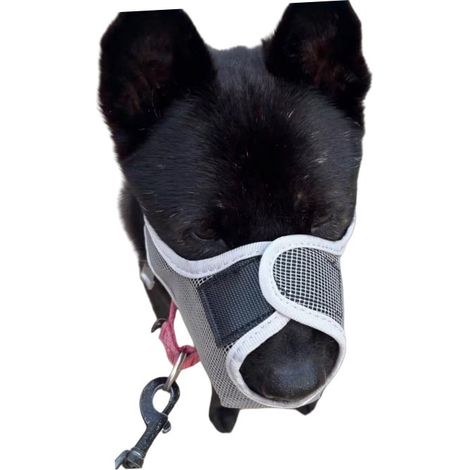 Muselière Anti-Ingestion : Muselière Respirante en Maille pour Chien, pour Sécurité et Éducation (1/3)