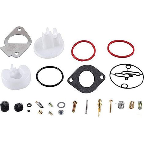 Kit de Réparation de Carburateur Tondeuse Rechange Compatible avec Briggs & Stratton 796184 698787 (1/5)