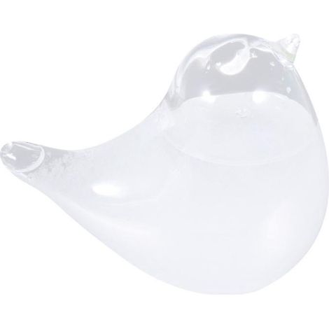 Bouteille en verre vide pour les prévisions météorologiques (1/3)