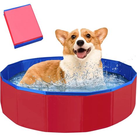 Baignoire et Pataugeoire Pliable,Piscine pour Animaux Petits 50 x 10 cm,Piscine en PVC,Pataugeoire pour Animaux de Compagnie (1/4)